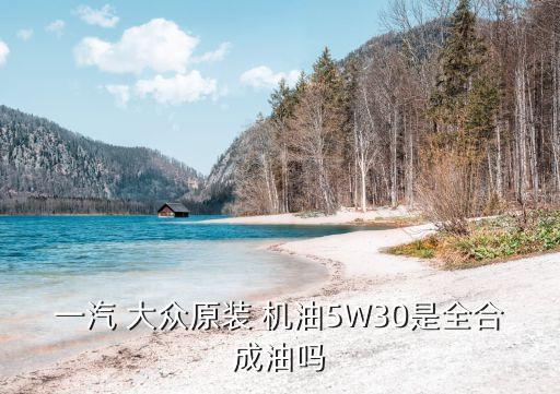 大众车出产时用的是什么机油