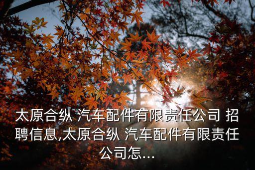 太原合纵 汽车配件有限责任公司 招聘信息,太原合纵 汽车配件有限责任公司怎...
