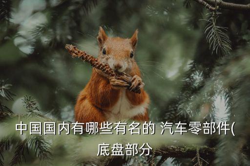 中国国内有哪些有名的 汽车零部件(底盘部分