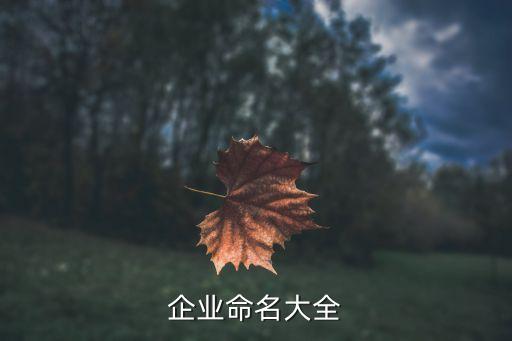企业命名大全