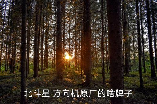 北斗星 方向机原厂的啥牌子
