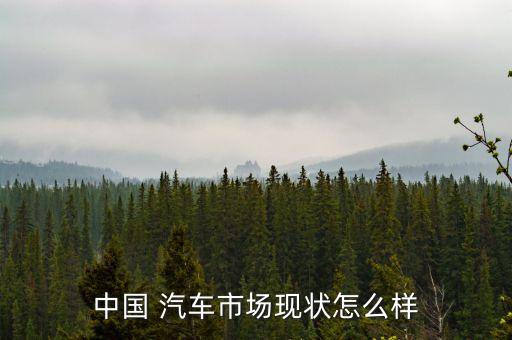 中国 汽车市场现状怎么样