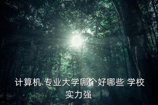  计算机 专业大学哪个好哪些 学校实力强