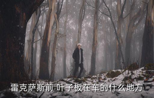 雷克萨斯前 叶子板在车的什么地方