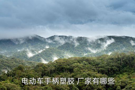  电动车手柄塑胶 厂家有哪些
