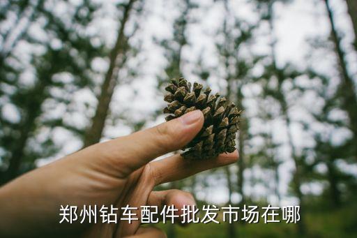 郑州重卡汽配城,贵阳重卡汽配城
