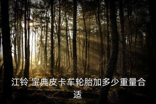  江铃 宝典皮卡车轮胎加多少重量合适