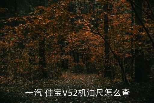  一汽 佳宝V52机油尺怎么查