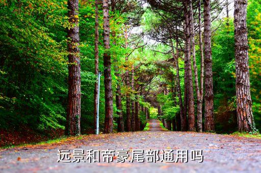 远景和帝豪尾部通用吗