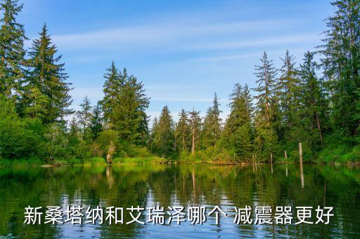 新桑塔纳和艾瑞泽哪个 减震器更好