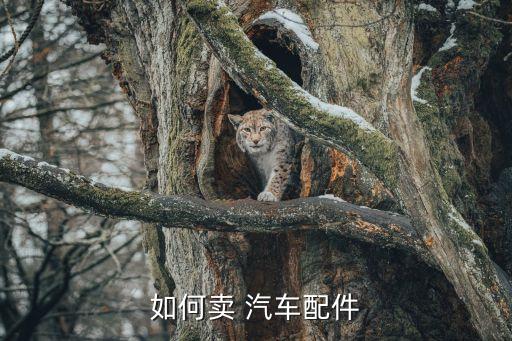 汽车用品怎么找客户