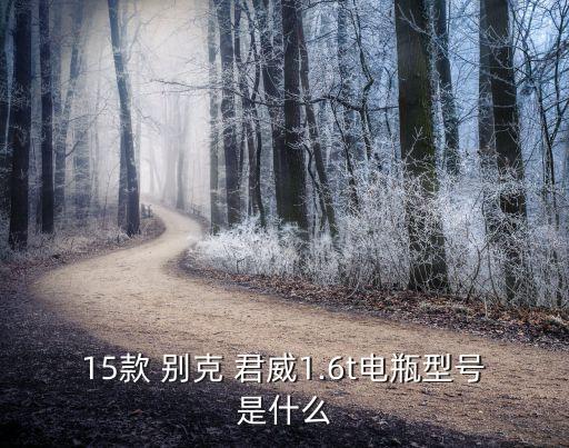 15款 别克 君威1.6t电瓶型号是什么