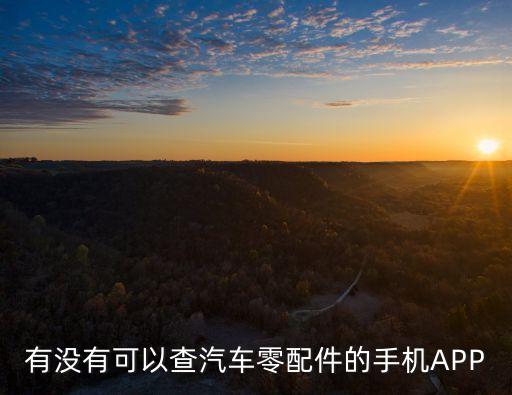 有没有可以查汽车零配件的手机APP