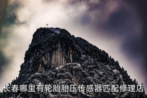 附近东风标致维修服务电话,标致汽车维修店