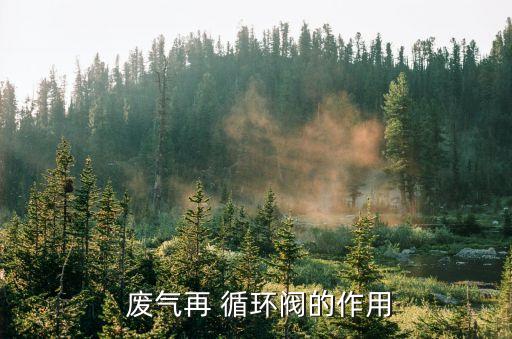 什么是废气再循环
