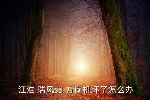  江淮 瑞风s3 方向机坏了怎么办