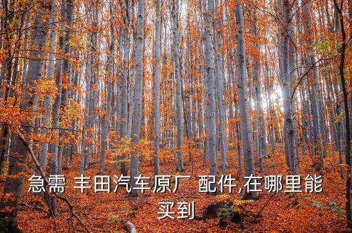 急需 丰田汽车原厂 配件,在哪里能买到