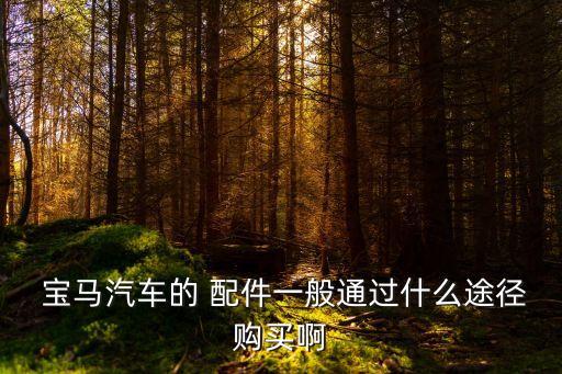  宝马汽车的 配件一般通过什么途径购买啊