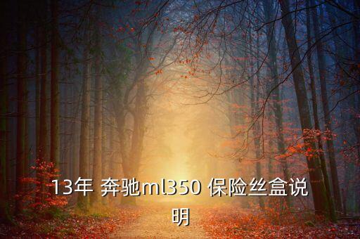 13年 奔驰ml350 保险丝盒说明