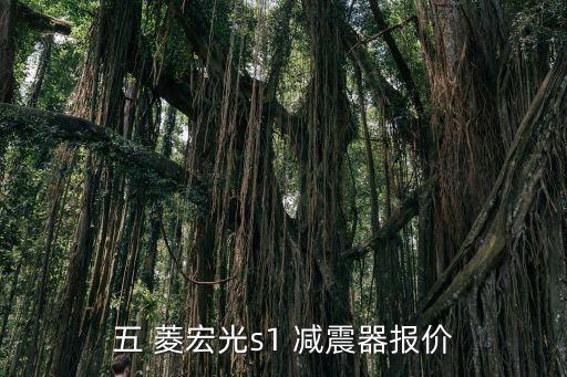 五菱宏光 前减震什么牌得