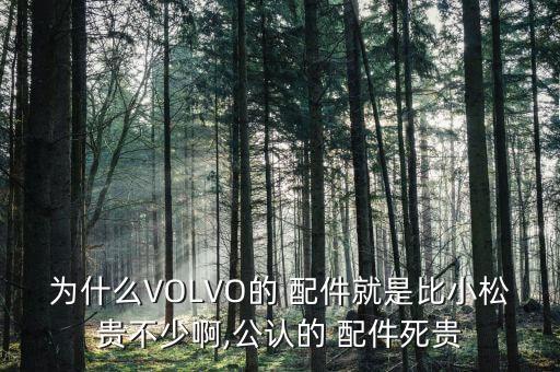 沃尔沃配件多少钱