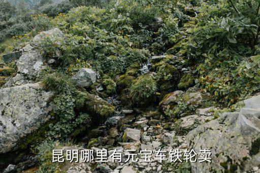  昆明哪里有元宝车铁轮卖