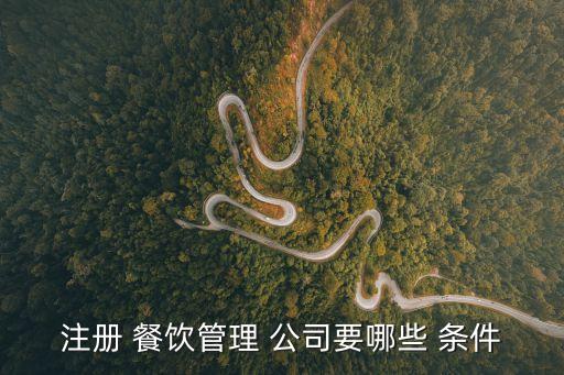 注册餐饮公司需要什么条件,代办营业执照的正规公司