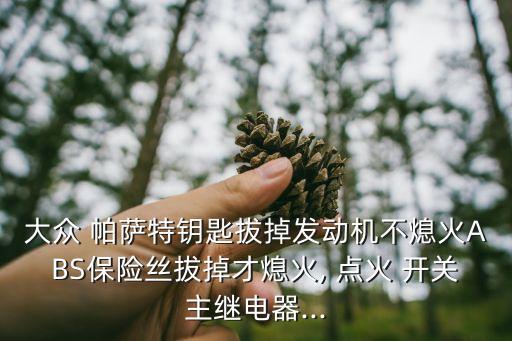 大众 帕萨特钥匙拔掉发动机不熄火ABS保险丝拔掉才熄火, 点火 开关主继电器...