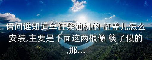 请问谁知道单缸柴油机的 缸盖儿怎么安装,主要是下面这两根像 筷子似的,那...