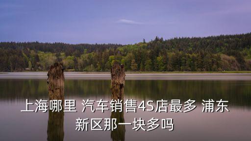 上海哪里 汽车销售4S店最多 浦东新区那一块多吗