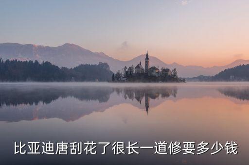  比亚迪唐刮花了很长一道修要多少钱