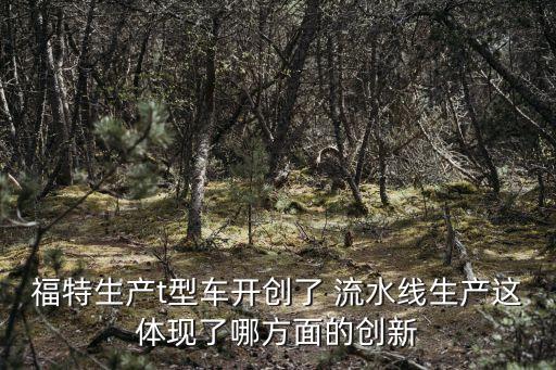 福特生产t型车开创了 流水线生产这体现了哪方面的创新