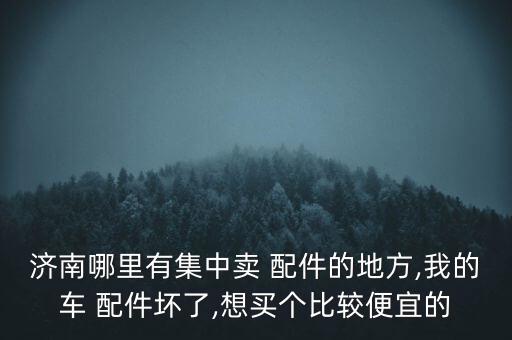 济南哪里有集中卖 配件的地方,我的车 配件坏了,想买个比较便宜的