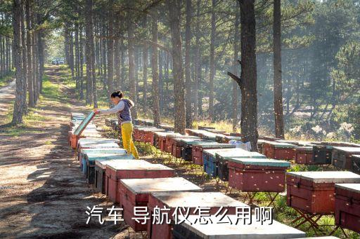 汽车 导航仪怎么用啊