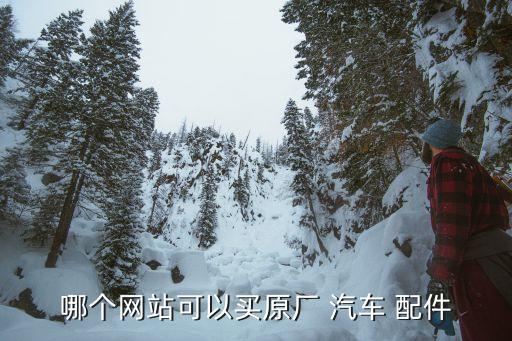 哪个网站可以买原厂 汽车 配件