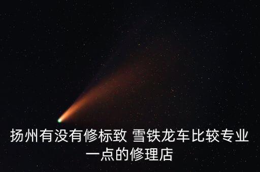 扬州有没有修标致 雪铁龙车比较专业一点的修理店