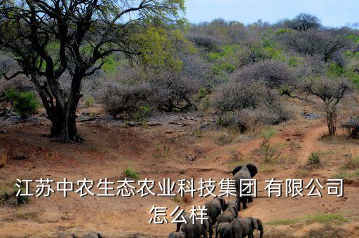 江苏中农生态农业科技集团 有限公司怎么样