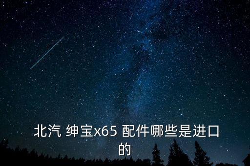  北汽 绅宝x65 配件哪些是进口的