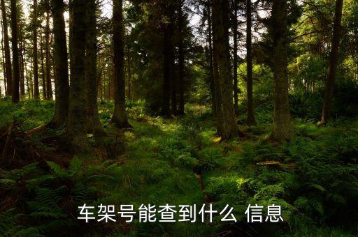  车架号能查到什么 信息