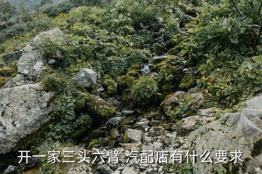 开一家三头六臂 汽配店有什么要求