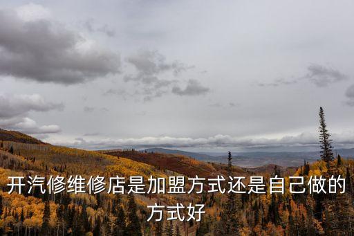 开汽修维修店是加盟方式还是自己做的方式好