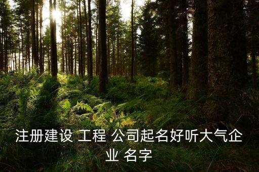 工程类的公司取什么公司名字好
