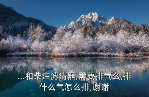 ...和柴油滤清器,需要排气么,排什么气怎么排,谢谢