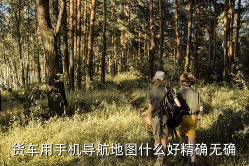 货车用手机导航地图什么好精确无确
