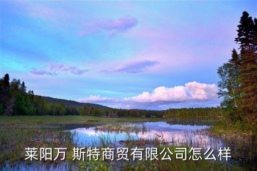 莱阳万 斯特商贸有限公司怎么样