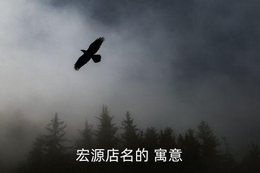 宏源店名的 寓意