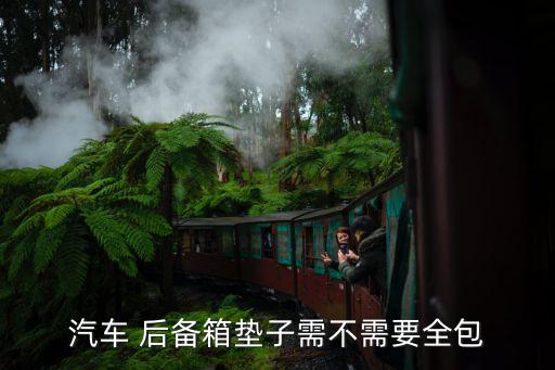 汽车 后备箱垫子需不需要全包