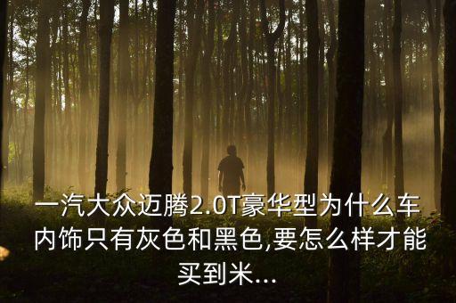 汽车内饰哪里买好,汽车空气滤芯哪里买好点