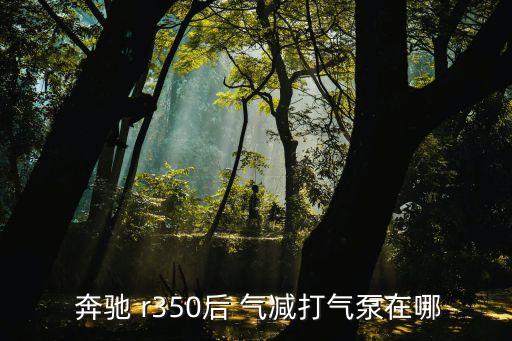 奔驰r350更换气减怎么匹配