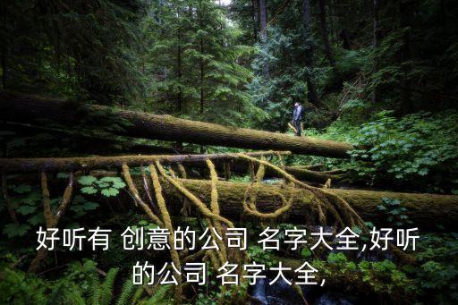 好听有 创意的公司 名字大全,好听的公司 名字大全,